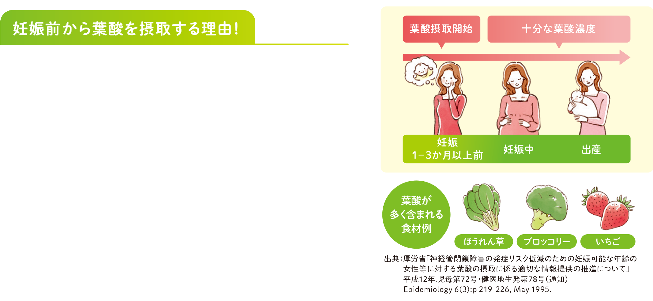 妊娠前から葉酸を摂取する理由！